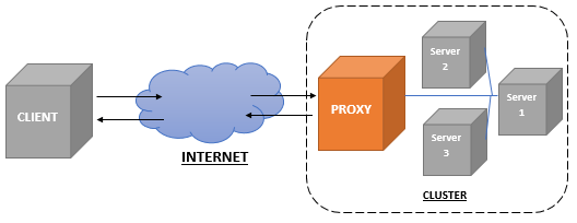 Why use reverse proxy-network